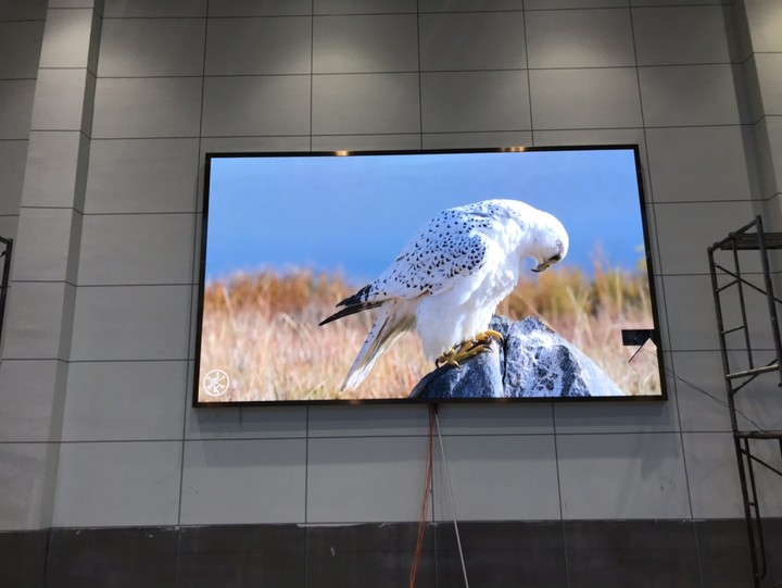 英山茶仙，P2.5,11.46平方