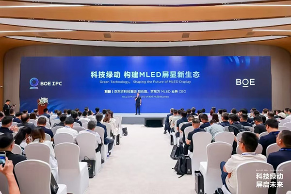 1725692895127722.jpg 3.jpg