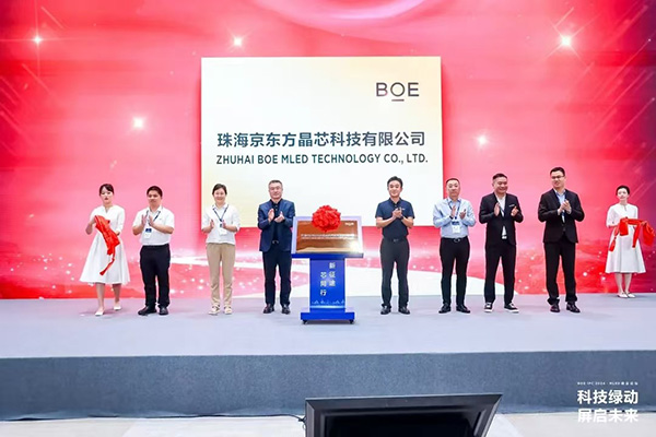 1725692937809341.jpg 6.jpg